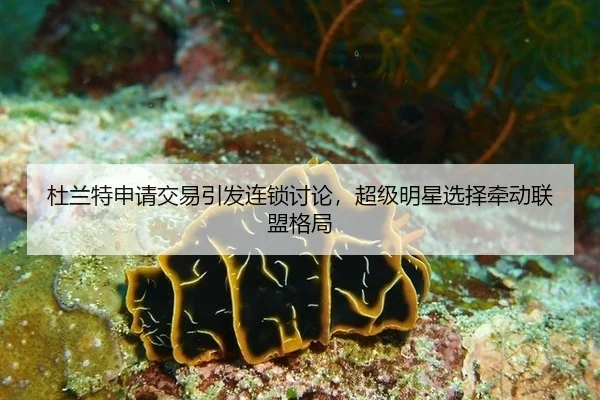 杜兰特申请交易引发连锁讨论，超级明星选择牵动联盟格局